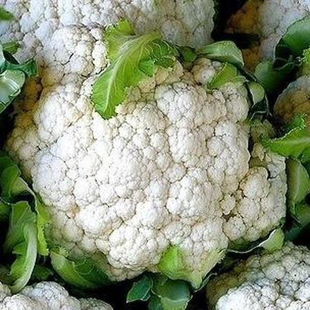 Non-Gmo 100ct Heirloom Cauliflower Seeds Self Blanching Cauliflower Seeds